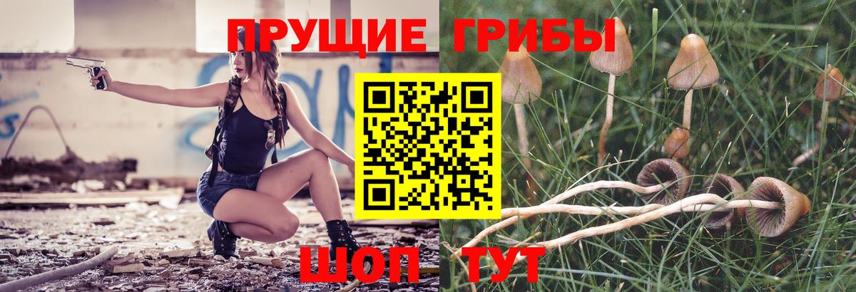 Псилоцибиновые грибы Psilocybe Воскресенск