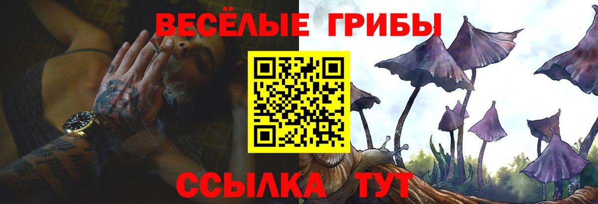 Псилоцибиновые грибы Cubensis  Галлюциногенные грибы Psilocybe  Воскресенск  Вход с VPN 